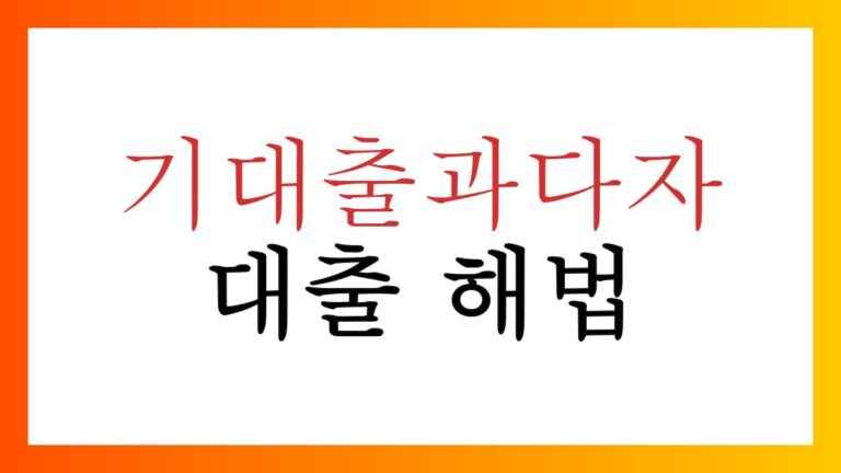 기대출과다자대출