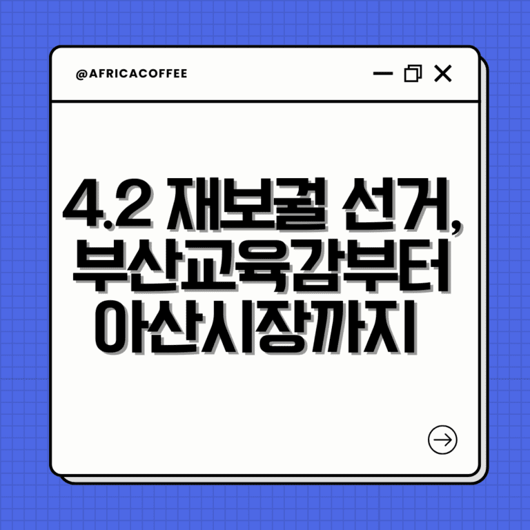 4.2 재보궐 선거