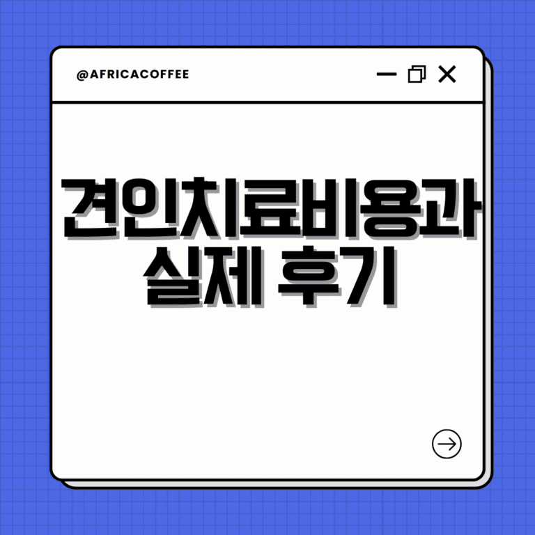 견인치료 비용