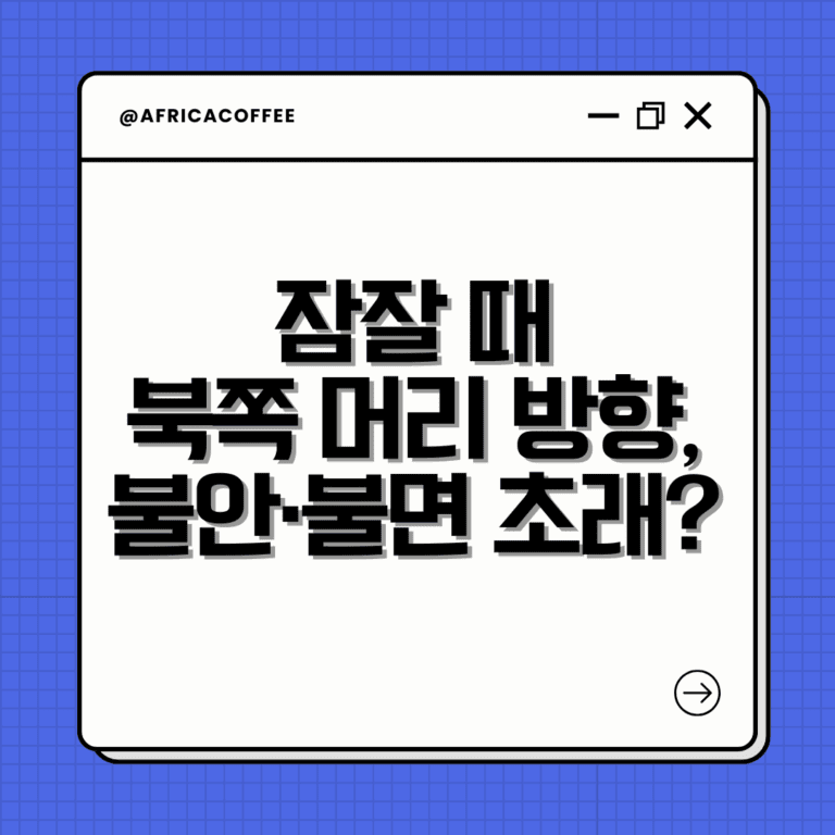 잠잘 때 북쪽 머리 방향
