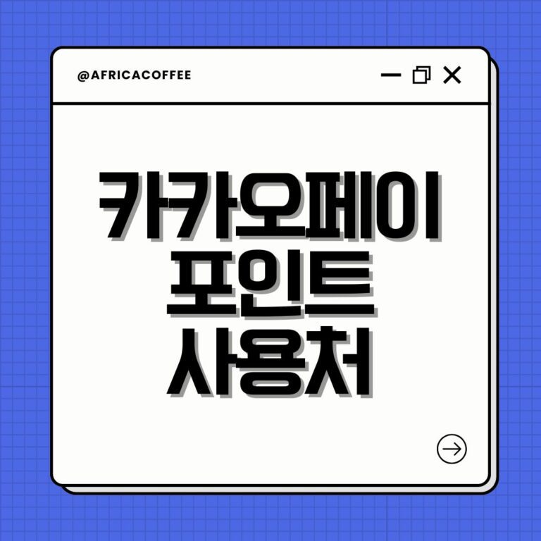 카카오페이 포인트 사용처