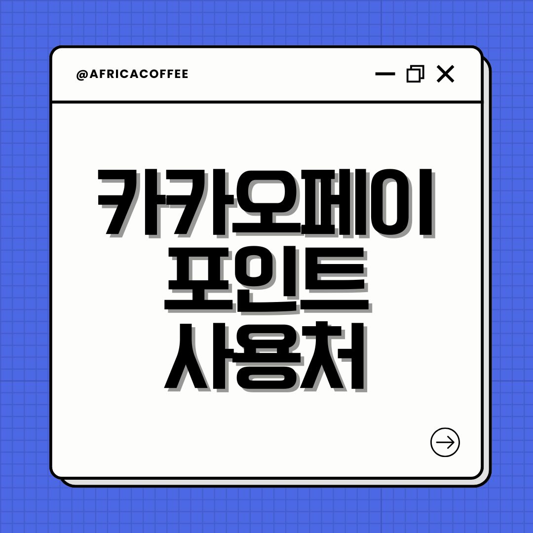 카카오페이 포인트 사용처
