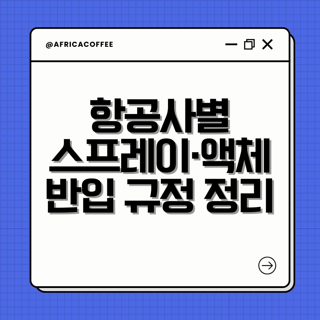 항공사별 스프레이·액체 반입 규정 정리