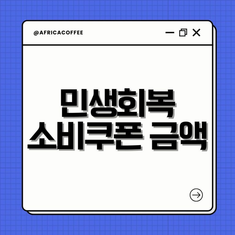 민생회복 소비쿠폰 금액