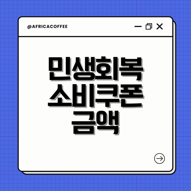 민생회복 소비쿠폰 금액