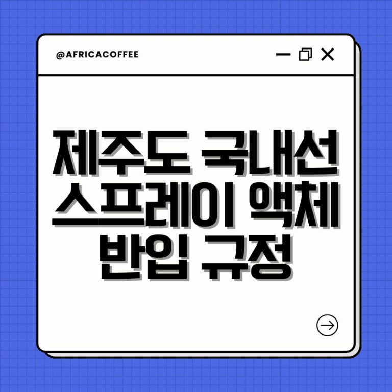제주도 국내선 스프레이 액체 반입 규정