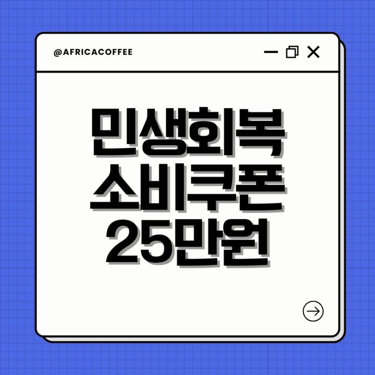 민생회복 소비쿠폰 25만원