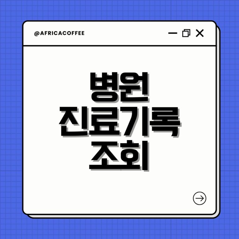 병원 진료기록 조회