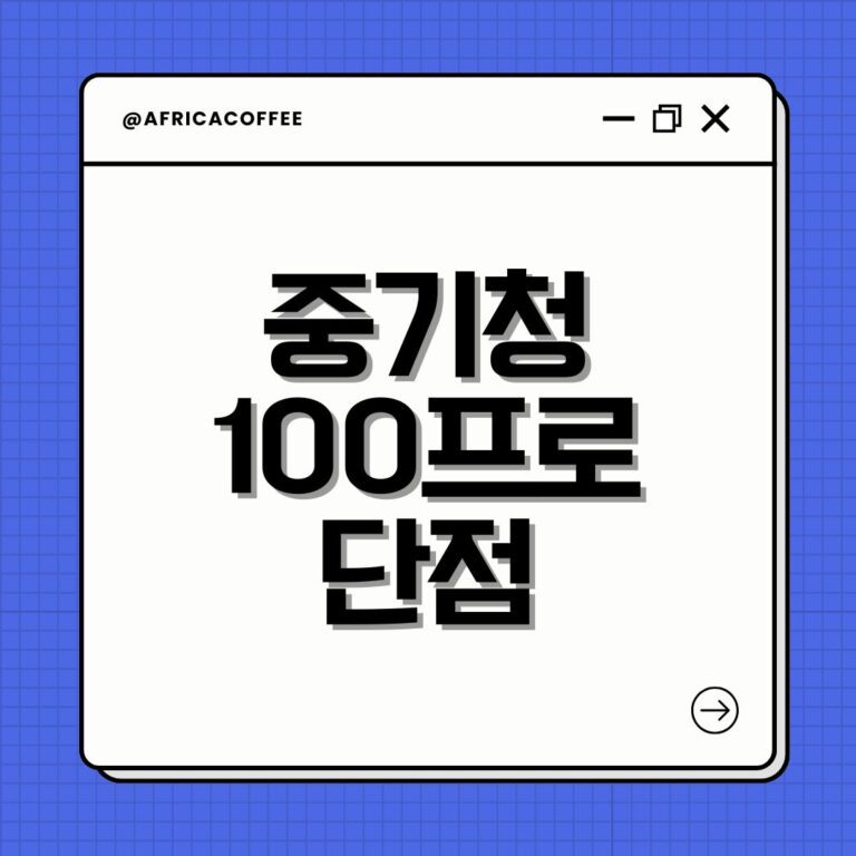 중기청 100프로 단점