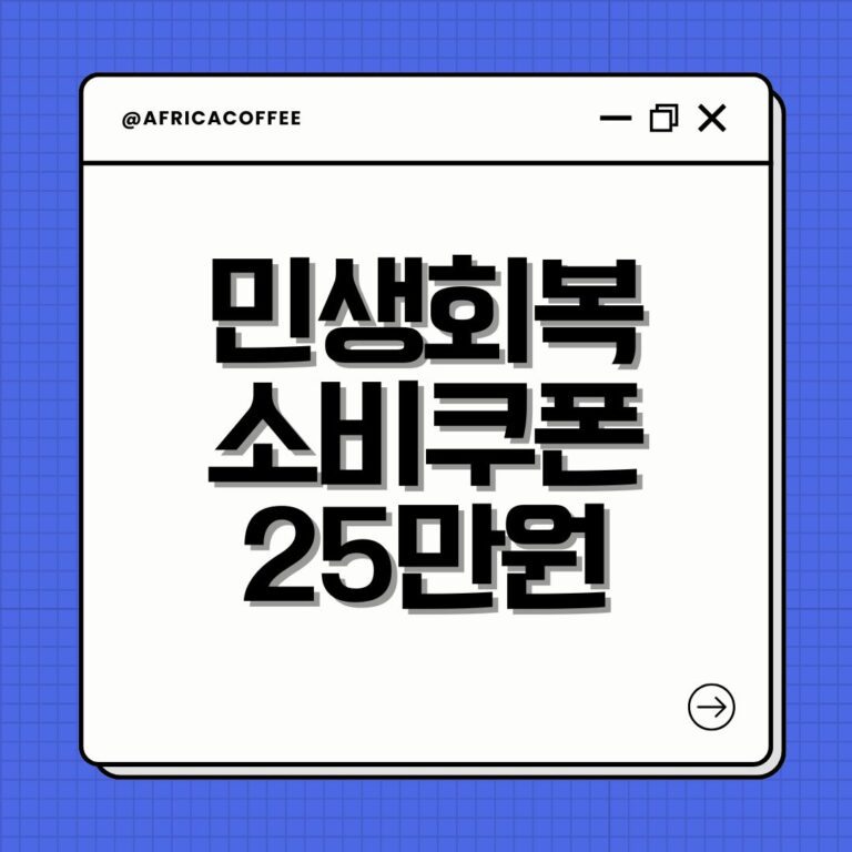 민생회복 소비쿠폰 25만원