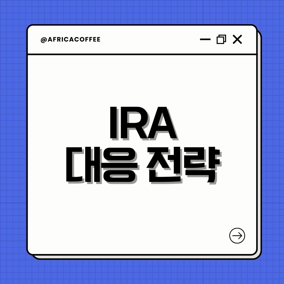 IRA 대응 전략