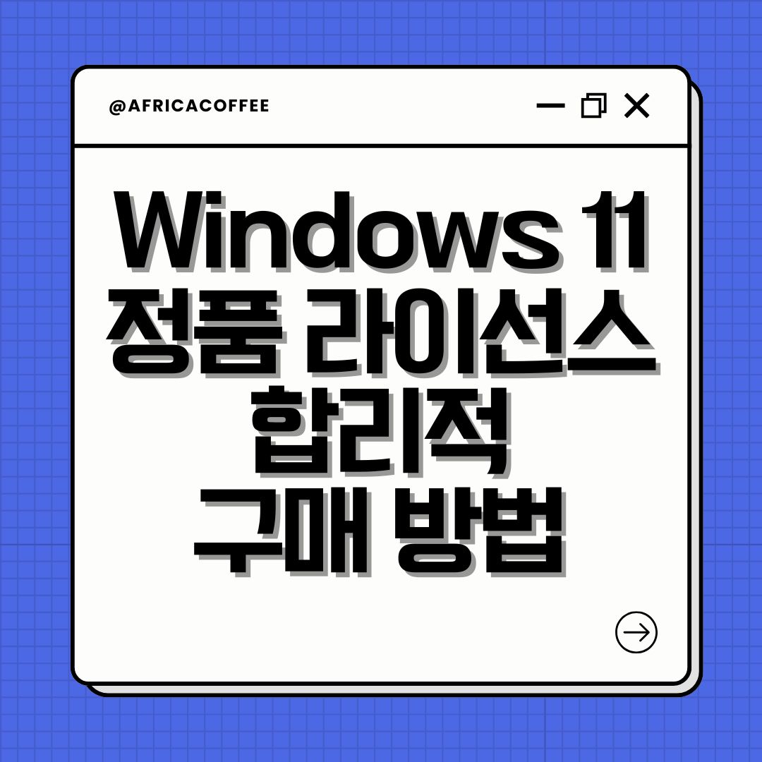 Windows 11 정품 라이선스 합리적 구매 방법