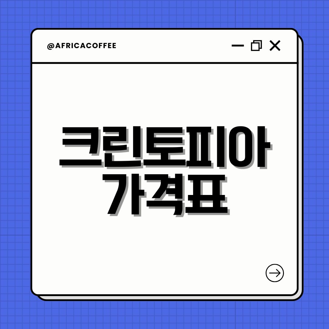 크린토피아 가격표
