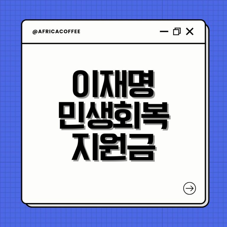 이재명 민생회복지원금