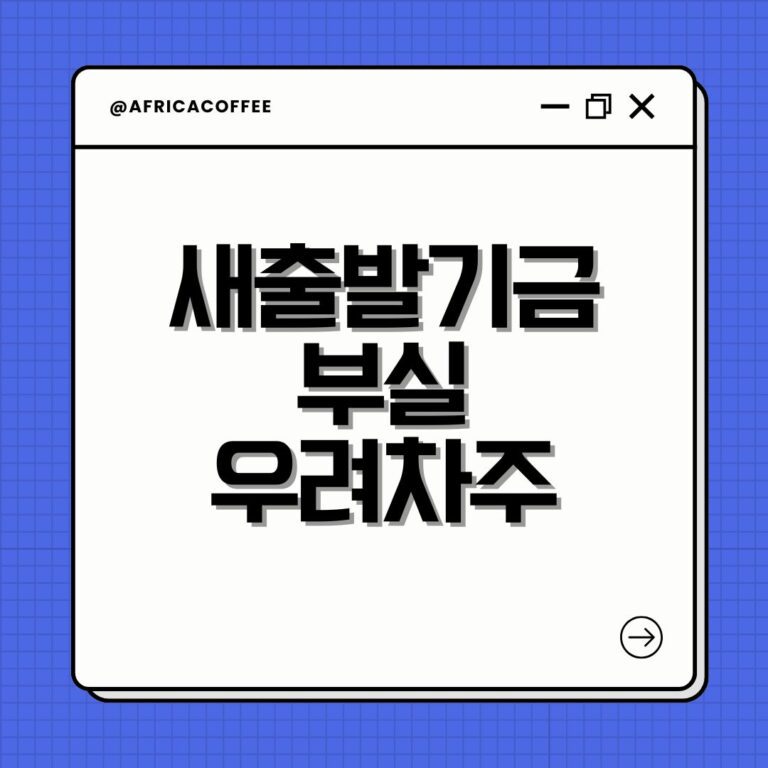 새출발기금 부실우려차주