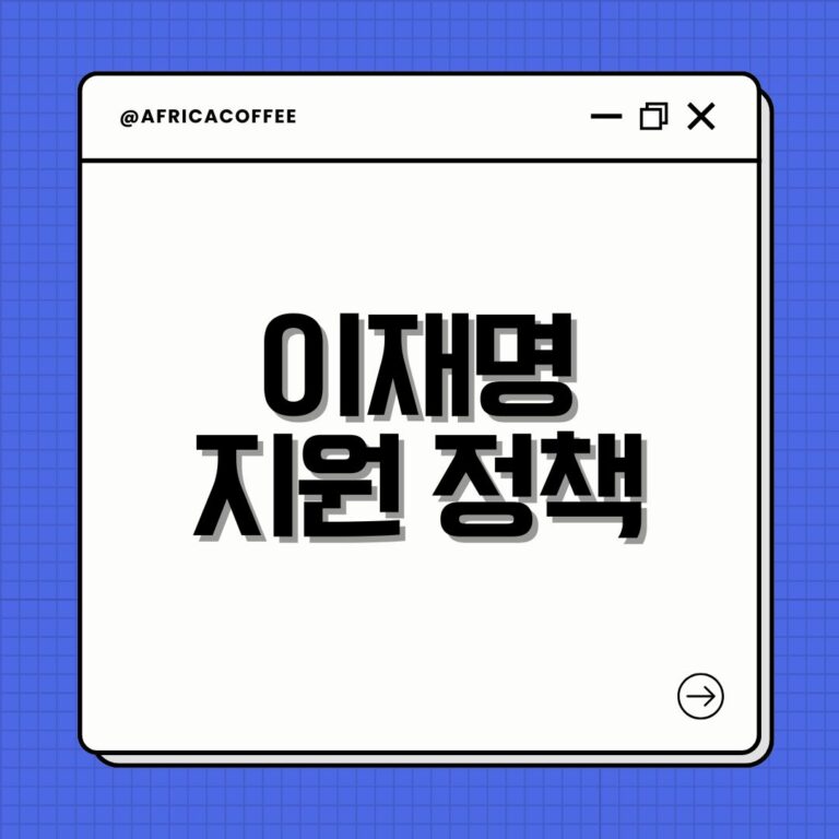 이재명 지원 정책