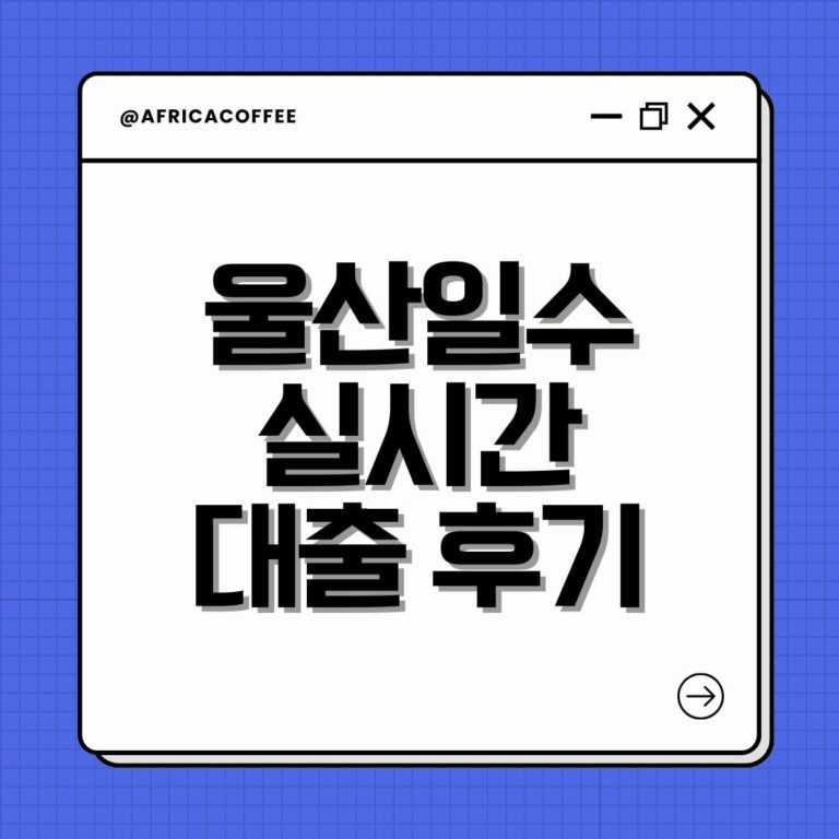 울산일수 실시간 대출 후기