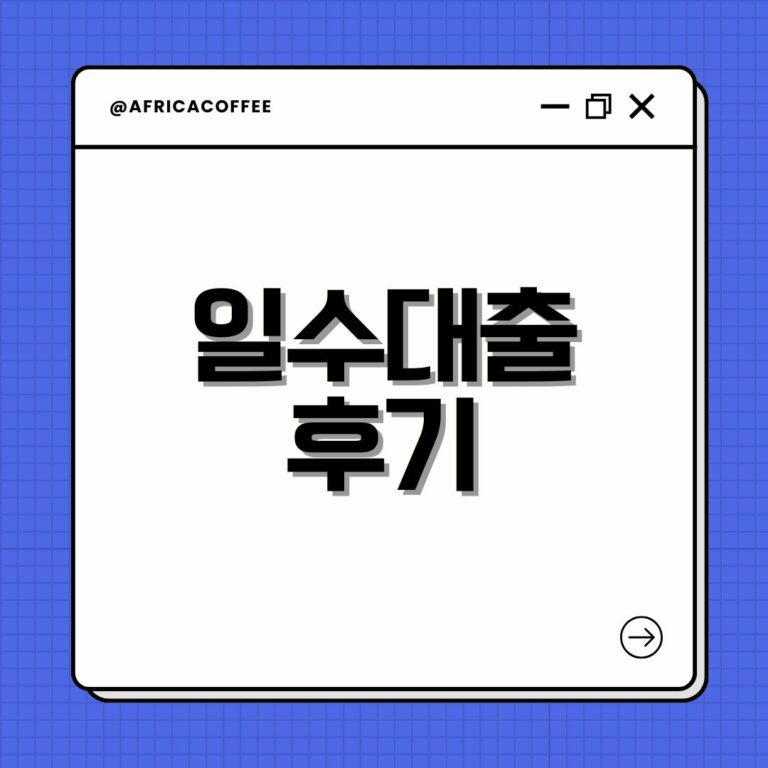 일수대출 후기
