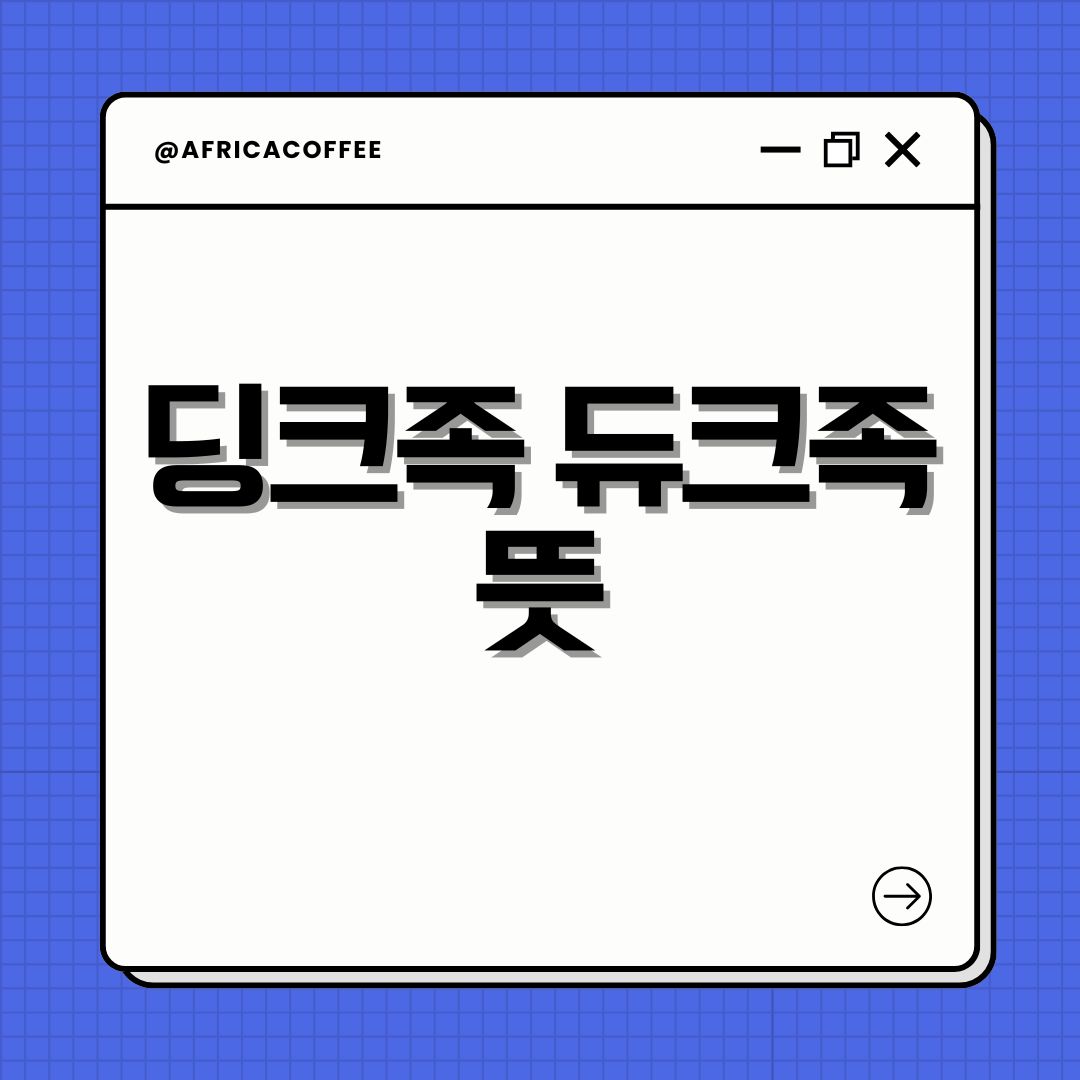 딩크족 듀크족 뜻