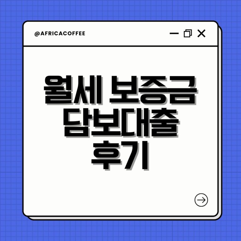 2025 BWF 중국오픈 배드민턴 중계