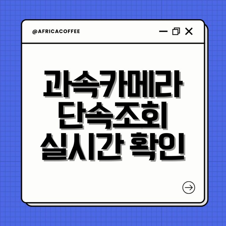 과속카메라 단속조회 실시간 확인