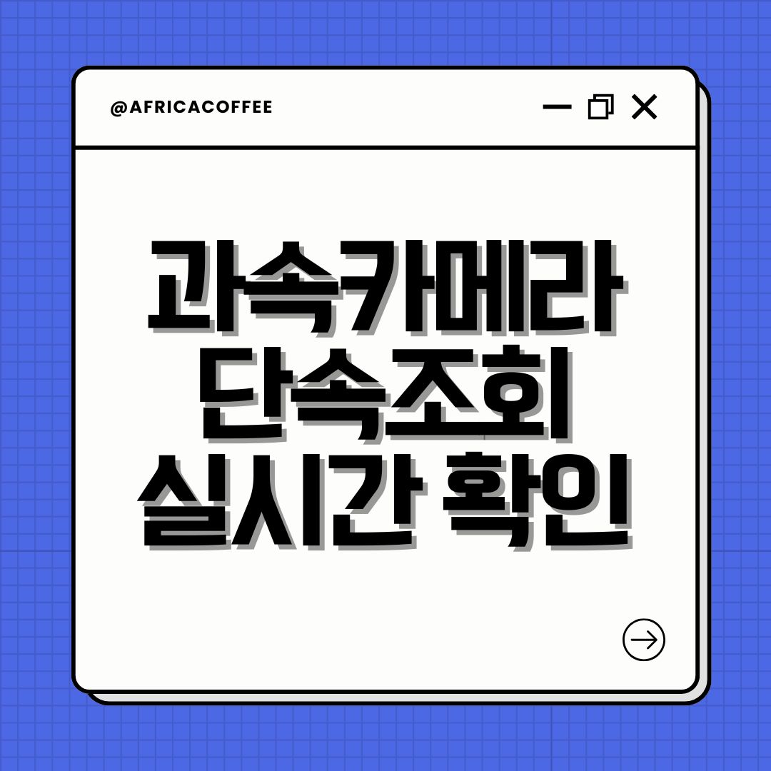 과속카메라 단속조회 실시간 확인