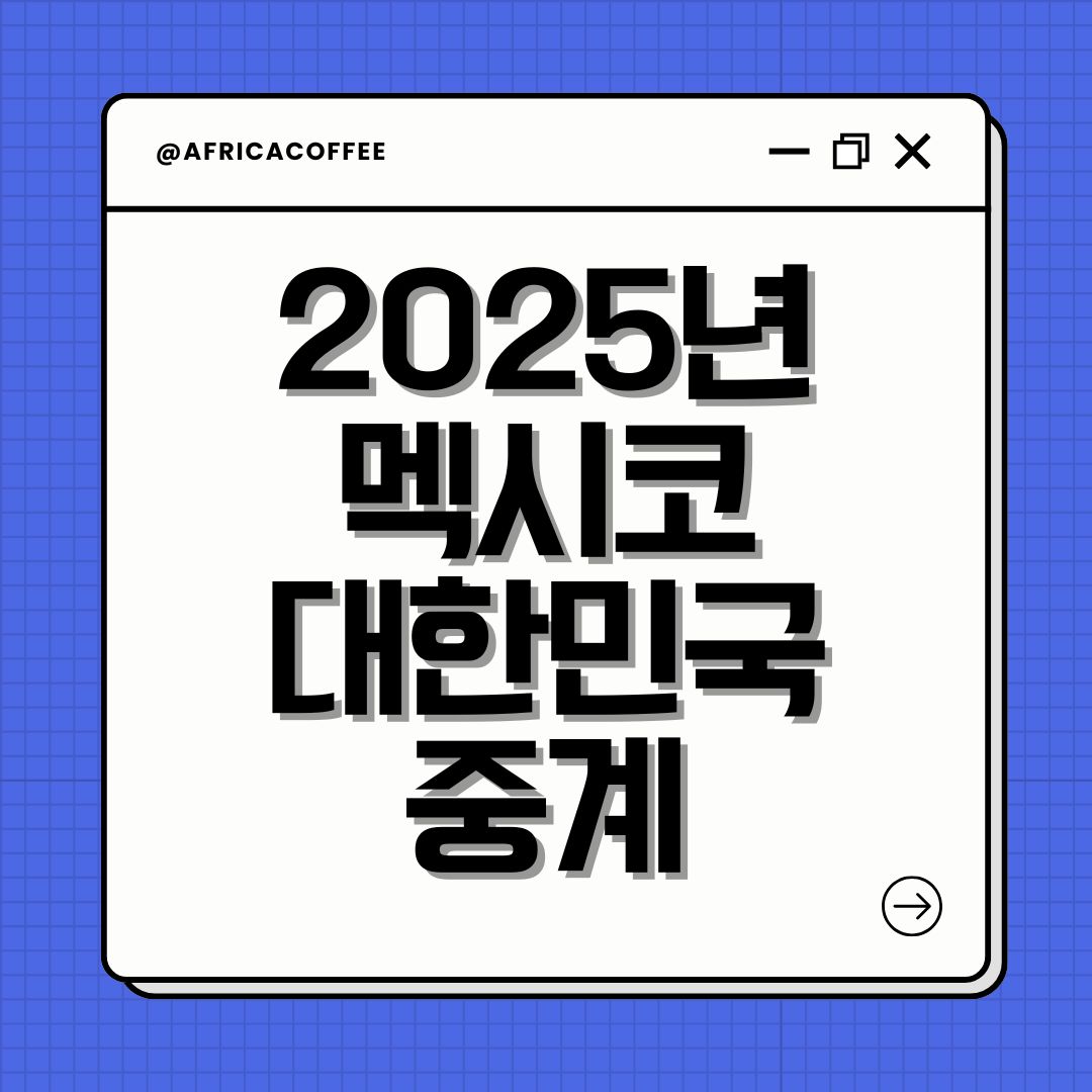 2025년 멕시코 대한민국 중계