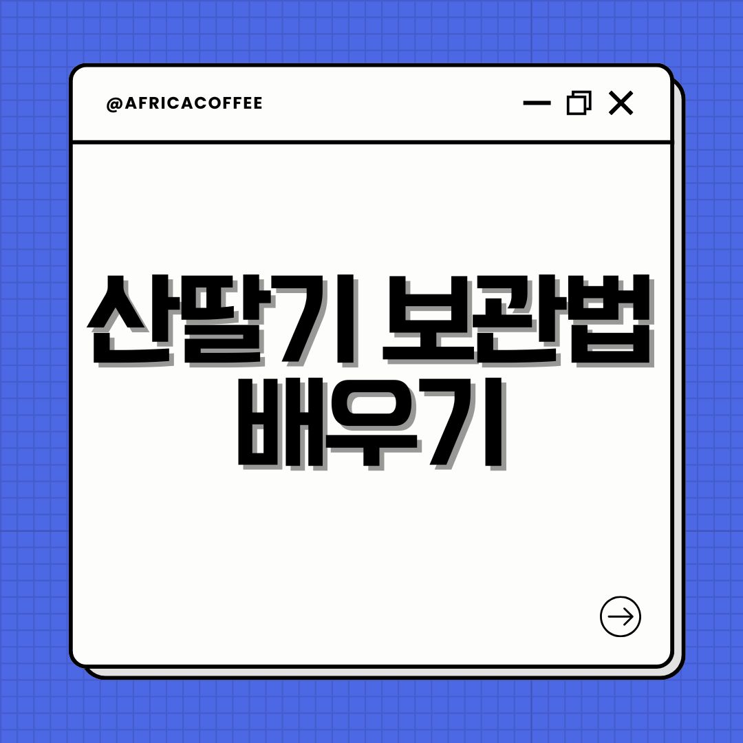 산딸기 보관법 배우기