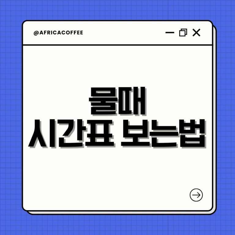 물때 시간표 보는법