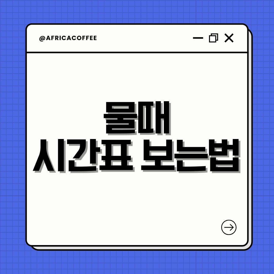 물때 시간표 보는법