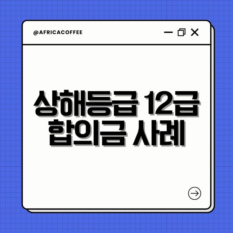 상해등급 12급 합의금 사례