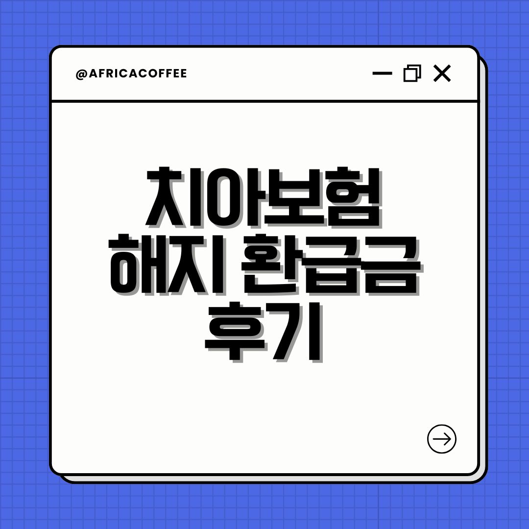 치아보험 해지 환급금 후기