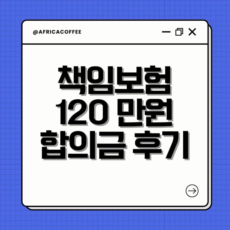 책임보험 120 만원 합의금 후기
