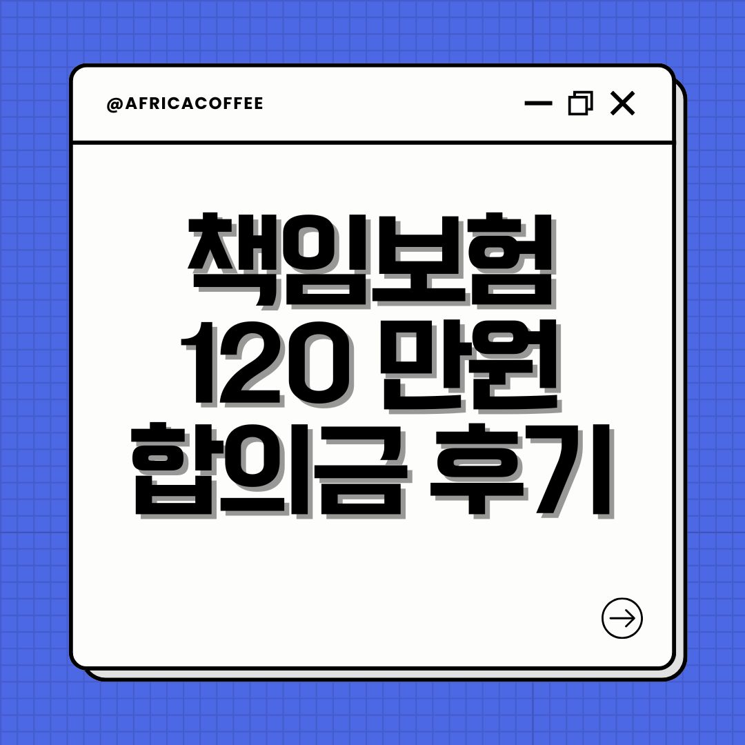 책임보험 120 만원 합의금 후기