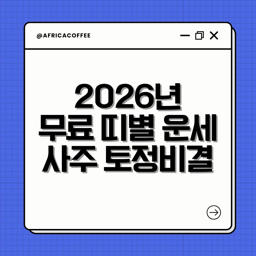 2026년 무료 띠별 운세 사주 토정비결